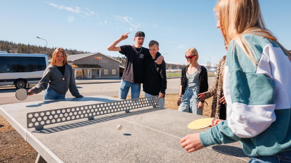 Lenke til artikkel: Temaplan for idrett og fysisk aktivitet 2027–2030 – offentlig høring