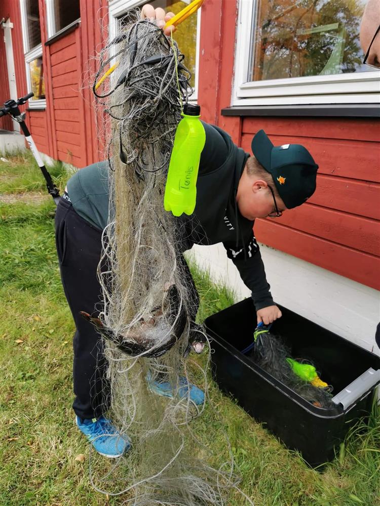 Klikk for stort bilde