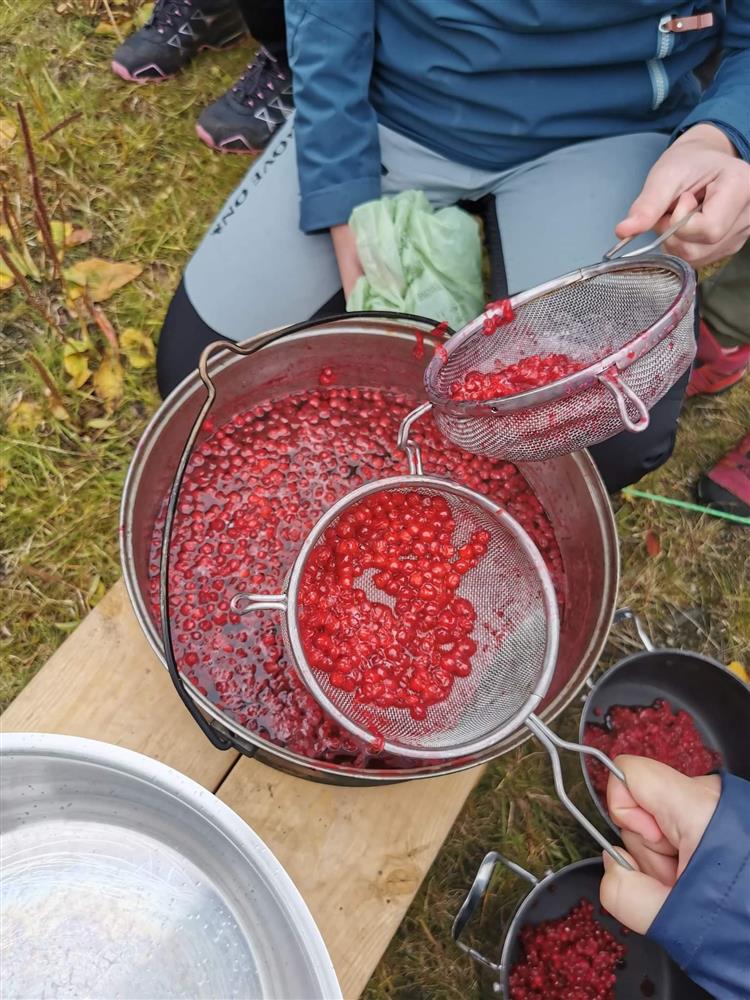 Klikk for stort bilde